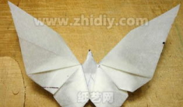 蝴蝶折纸教程视频,轻松学会制作优雅蝴蝶